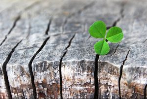 "امید" بدون تلاش معنا ندارد - دکتر عبده تبریزی